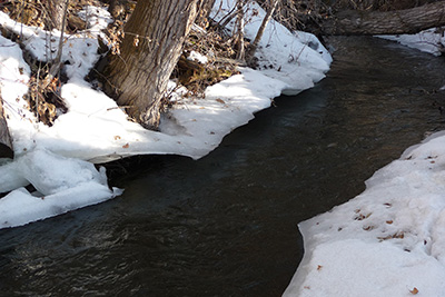 Bozeman Creek Winter photo of snowy banks along Bozeman Creek